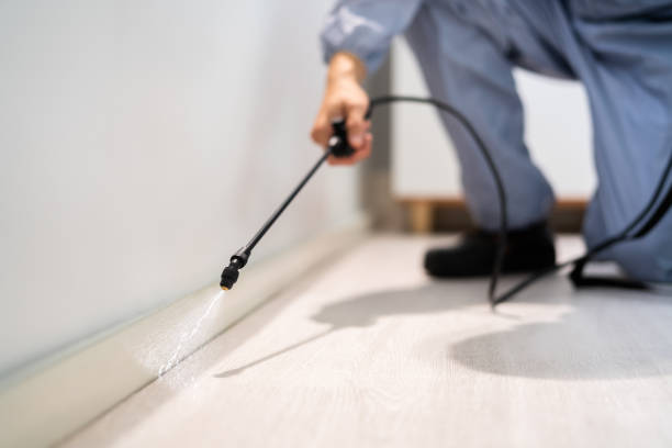 Licensed Pest Control service in Girard, KS - Show Me Pest Control