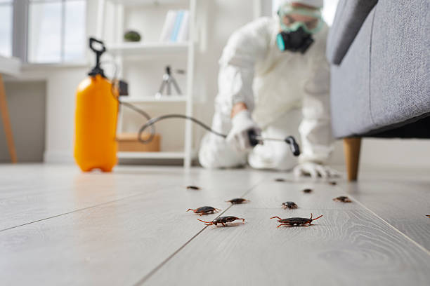 Commercial Kitchen Cockroach Control in Girard